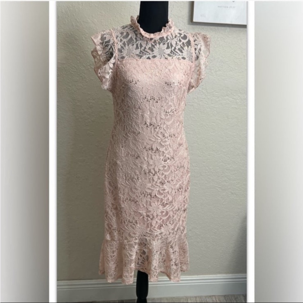 Alexa B Nites Dress Lined Shell Pink Blush Sequins Size 6